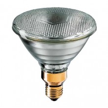 LAMPADINA PAR 38 120W